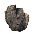 Anthracite-MCG 77448-P4150910-white.jpg