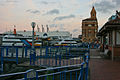 Auckland New Zealand-241.jpg