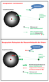 Gezeitenkraft Inertialsystem Koerpersystem.png
