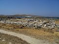 Delos 3126.jpg