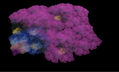 Nuage17.png
