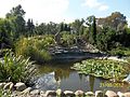 " The Garden of Jesus ", located in the Garden of the Priest in Brwinow, Poland, 05-840 picture1.jpg