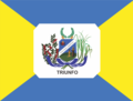 Bandeira Triunfo Pernambuco.png