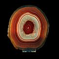 Agate-MCG 91225-P4150832-black.jpg