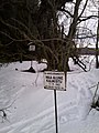 13001 Kalmistu.jpg
