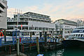 Auckland New Zealand-245.jpg
