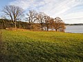 Melsom-medium-Fylkesmannen-i-Vestfold.jpg
