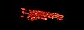 File:4Pi-RESOLFT-nanoscopy-ncomms10504-s2.ogv