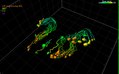 File:5D-imaging-via-light-sheet-microscopy-reveals-cell-dynamics-during-the-eye-antenna-disc-primordium-srep44945-s4.ogv