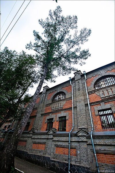 File:!fotokolbin Истомина, 51 3.jpg