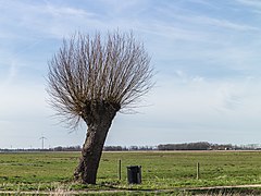 Schokland. UNESCO-Werelderfgoed 20.jpg