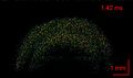 File:3D-mapping-of-elastic-modulus-using-shear-wave-optical-micro-elastography-srep35499-s2.ogv