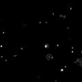 File:A-blueprint-for-robust-crosslinking-of-mobile-species-in-biogels-with-weakly-adhesive-molecular-41467 2017 739 MOESM4 ESM.ogv