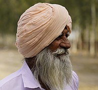 Punjabi Man from Gulabewala, Sri Muktsar Sahib.jpg