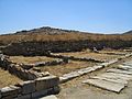 Delos 3060.jpg