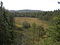 Nordre-Skarsholttjern-lite-Egil-Soglo.jpg