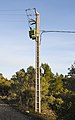 Electricity pylon - Peyriac-de-Mer.jpg