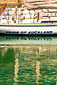 1-NZ-Pride-of-Auckland.jpg