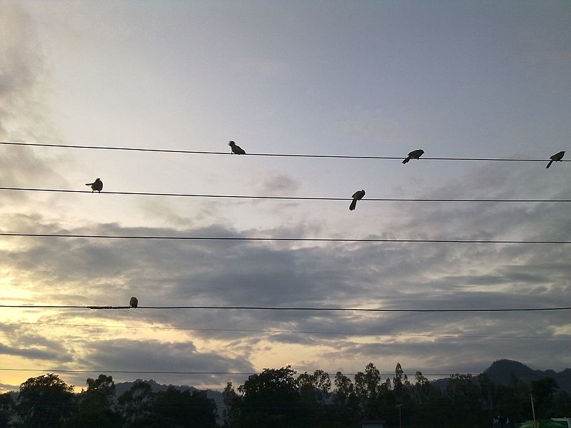 File:!)eep@153.jpg