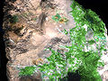 Agardite Lavrio.jpg