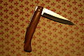 " 12 - ITALY - Coltello anconetano - Ancona e costa marchigiana - fishing knife.JPG