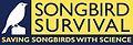 SongBird Survival Logo.jpg
