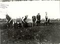 000014-Turfstekers.JPG