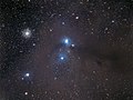 Caldwell 68 Corona Australis Dark Molecular Cloud.jpg