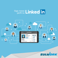 Linkedin Sulwork.png