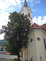 1168 Sommerlinde.JPG