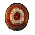 Agate-MCG 91225-P4150832-white.jpg