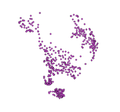 Cph.png