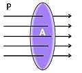 Sonido2.JPG