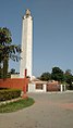 Ashoka pillar meerut.jpg
