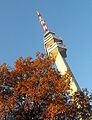 Avalski toranj.jpg