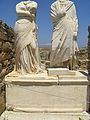 Delos 3131.jpg