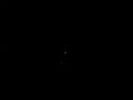 File:Uncultivated-Microbial-Eukaryotic-Diversity-A-Method-to-Link-ssu-rRNA-Gene-Sequences-with-Morphology-pone.0028158.s004.ogv