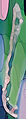 003 Chile.jpg