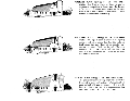 Barn sketches1.svg