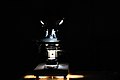 Compound Microscope1.jpg