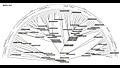File:A-Detailed-History-of-Intron-rich-Eukaryotic-Ancestors-Inferred-from-a-Global-Survey-of-100-pcbi.1002150.s003.ogv