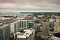 Auckland-1475.jpg