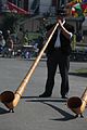 Alphorn-IMG 5357.JPG