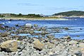 Fugløyrogn-lite-Fylkesmannen-i-Vestfold.jpg