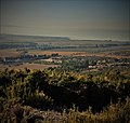 Vignoble Etang.jpg