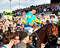 American pharoah bs2.jpg
