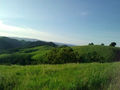 Mt. Diablo Foothills.png