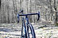 A6 C50-F1.4 Dianenlust.jpg