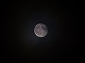 Dark Moon.jpg