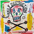 Teddy-M-Humanity-Loves-Self-Destruction-painting-2017-art-graffiti (1).jpg